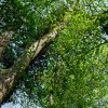 DSCF0483